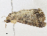  ( - CBG-A10816-E09)  @11 [ ] CreativeCommons - Attribution Share - Alike (2023) CBG Photography Group Centre for Biodiversity Genomics
