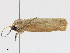  ( - CBG-A10817-C02)  @11 [ ] CreativeCommons - Attribution Share - Alike (2023) CBG Photography Group Centre for Biodiversity Genomics