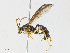 ( - CBG-A10817-D06)  @11 [ ] CreativeCommons - Attribution Share - Alike (2023) CBG Photography Group Centre for Biodiversity Genomics