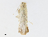  ( - CBG-A10817-E06)  @11 [ ] CreativeCommons - Attribution Share - Alike (2023) CBG Photography Group Centre for Biodiversity Genomics