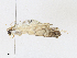  ( - CBG-A10817-E07)  @11 [ ] CreativeCommons - Attribution Share - Alike (2023) CBG Photography Group Centre for Biodiversity Genomics