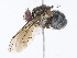  ( - CBG-A10817-H07)  @11 [ ] CreativeCommons - Attribution Share - Alike (2023) CBG Photography Group Centre for Biodiversity Genomics