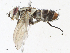  ( - CBG-A10818-A12)  @11 [ ] CreativeCommons - Attribution Share - Alike (2023) CBG Photography Group Centre for Biodiversity Genomics