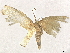  ( - CBG-A10818-B12)  @11 [ ] CreativeCommons - Attribution Share - Alike (2023) CBG Photography Group Centre for Biodiversity Genomics
