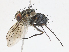  ( - CBG-A10818-E04)  @11 [ ] CreativeCommons - Attribution Share - Alike (2023) CBG Photography Group Centre for Biodiversity Genomics