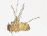  ( - CBG-A10818-E06)  @11 [ ] CreativeCommons - Attribution Share - Alike (2023) CBG Photography Group Centre for Biodiversity Genomics