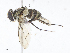  ( - CBG-A10818-G07)  @11 [ ] CreativeCommons - Attribution Share - Alike (2023) CBG Photography Group Centre for Biodiversity Genomics