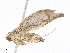  ( - CBG-A10818-H03)  @11 [ ] CreativeCommons - Attribution Share - Alike (2023) CBG Photography Group Centre for Biodiversity Genomics