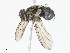  ( - CBG-A10819-A03)  @11 [ ] CreativeCommons - Attribution Share - Alike (2023) CBG Photography Group Centre for Biodiversity Genomics