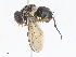  ( - CBG-A10819-A05)  @11 [ ] CreativeCommons - Attribution Share - Alike (2023) CBG Photography Group Centre for Biodiversity Genomics