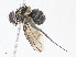  ( - CBG-A10819-D09)  @11 [ ] CreativeCommons - Attribution Share - Alike (2023) CBG Photography Group Centre for Biodiversity Genomics