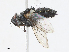  ( - CBG-A10820-C02)  @11 [ ] CreativeCommons - Attribution Share - Alike (2023) CBG Photography Group Centre for Biodiversity Genomics