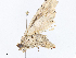  ( - CBG-A10820-H02)  @11 [ ] CreativeCommons - Attribution Share - Alike (2023) CBG Photography Group Centre for Biodiversity Genomics
