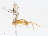  ( - CBG-A13193-C04)  @11 [ ] CreativeCommons - Attribution Share - Alike (2023) CBG Photography Group Centre for Biodiversity Genomics