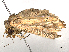  ( - CBG-A13194-D05)  @11 [ ] CreativeCommons - Attribution Share - Alike (2023) CBG Photography Group Centre for Biodiversity Genomics