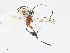  ( - CBG-A13194-E02)  @11 [ ] CreativeCommons - Attribution Share - Alike (2023) CBG Photography Group Centre for Biodiversity Genomics