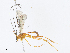  ( - CBG-A13194-E08)  @11 [ ] CreativeCommons - Attribution Share - Alike (2023) CBG Photography Group Centre for Biodiversity Genomics