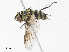  ( - CBG-A13194-F12)  @11 [ ] CreativeCommons - Attribution Share - Alike (2023) CBG Photography Group Centre for Biodiversity Genomics
