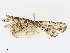  ( - CBG-A13196-G06)  @11 [ ] CreativeCommons - Attribution Share - Alike (2023) CBG Photography Group Centre for Biodiversity Genomics
