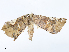  ( - CBG-A13196-H06)  @11 [ ] CreativeCommons - Attribution Share - Alike (2023) CBG Photography Group Centre for Biodiversity Genomics