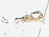  ( - CBG-A13197-C02)  @11 [ ] CreativeCommons - Attribution Share - Alike (2023) CBG Photography Group Centre for Biodiversity Genomics