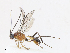  ( - CBG-A13198-D03)  @11 [ ] CreativeCommons - Attribution Share - Alike (2023) CBG Photography Group Centre for Biodiversity Genomics
