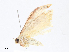  ( - CBG-A13198-E10)  @11 [ ] CreativeCommons - Attribution Share - Alike (2023) CBG Photography Group Centre for Biodiversity Genomics