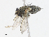  ( - CBG-A13198-F02)  @11 [ ] CreativeCommons - Attribution Share - Alike (2023) CBG Photography Group Centre for Biodiversity Genomics