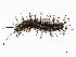  ( - CBG-A13199-H07)  @11 [ ] CreativeCommons - Attribution Share - Alike (2023) CBG Photography Group Centre for Biodiversity Genomics