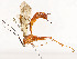  ( - CBG-A51984-D11)  @11 [ ] CreativeCommons - Attribution Share - Alike (2024) CBG Photography Group Centre for Biodiversity Genomics