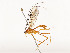 ( - CBG-A51984-F01)  @11 [ ] CreativeCommons - Attribution Share - Alike (2024) CBG Photography Group Centre for Biodiversity Genomics