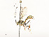  ( - CBG-A51984-F06)  @11 [ ] CreativeCommons - Attribution Share - Alike (2024) CBG Photography Group Centre for Biodiversity Genomics