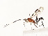  ( - CBG-A51984-G05)  @11 [ ] CreativeCommons - Attribution Share - Alike (2024) CBG Photography Group Centre for Biodiversity Genomics