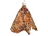  ( - CBG-A54425-A02)  @11 [ ] CreativeCommons - Attribution Share - Alike (2024) CBG Photography Group Centre for Biodiversity Genomics