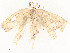  ( - CBG-A54425-B11)  @11 [ ] CreativeCommons - Attribution Share - Alike (2024) CBG Photography Group Centre for Biodiversity Genomics