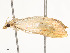  ( - CBG-A54425-C04)  @11 [ ] CreativeCommons - Attribution Share - Alike (2024) CBG Photography Group Centre for Biodiversity Genomics