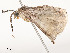  ( - CBG-A54425-C11)  @11 [ ] CreativeCommons - Attribution Share - Alike (2024) CBG Photography Group Centre for Biodiversity Genomics