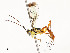  ( - CBG-A54425-H03)  @11 [ ] CreativeCommons - Attribution Share - Alike (2024) CBG Photography Group Centre for Biodiversity Genomics
