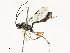  ( - CBG-A54427-G01)  @11 [ ] CreativeCommons - Attribution Share - Alike (2024) CBG Photography Group Centre for Biodiversity Genomics