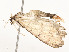  ( - CBG-A54428-F12)  @11 [ ] CreativeCommons - Attribution Share - Alike (2024) CBG Photography Group Centre for Biodiversity Genomics