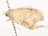  ( - CBG-A54428-G02)  @11 [ ] CreativeCommons - Attribution Share - Alike (2024) CBG Photography Group Centre for Biodiversity Genomics