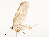  ( - CBG-A54428-H03)  @11 [ ] CreativeCommons - Attribution Share - Alike (2024) CBG Photography Group Centre for Biodiversity Genomics