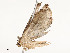  ( - CBG-A54428-H05)  @11 [ ] CreativeCommons - Attribution Share - Alike (2024) CBG Photography Group Centre for Biodiversity Genomics