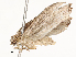  ( - CBG-A54428-H07)  @11 [ ] CreativeCommons - Attribution Share - Alike (2024) CBG Photography Group Centre for Biodiversity Genomics