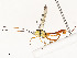  ( - CBG-A54433-A05)  @11 [ ] CreativeCommons - Attribution Share - Alike (2024) CBG Photography Group Centre for Biodiversity Genomics