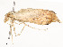  ( - CBG-A54433-H04)  @11 [ ] CreativeCommons - Attribution Share - Alike (2024) CBG Photography Group Centre for Biodiversity Genomics