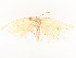  ( - CBG-A54434-D09)  @11 [ ] CreativeCommons - Attribution Share - Alike (2024) CBG Photography Group Centre for Biodiversity Genomics