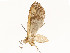  ( - CBG-A54434-E06)  @11 [ ] CreativeCommons - Attribution Share - Alike (2024) CBG Photography Group Centre for Biodiversity Genomics