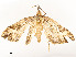  ( - CBG-A54434-E12)  @11 [ ] CreativeCommons - Attribution Share - Alike (2024) CBG Photography Group Centre for Biodiversity Genomics