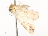  ( - CBG-A54435-G02)  @11 [ ] CreativeCommons - Attribution Share - Alike (2024) CBG Photography Group Centre for Biodiversity Genomics
